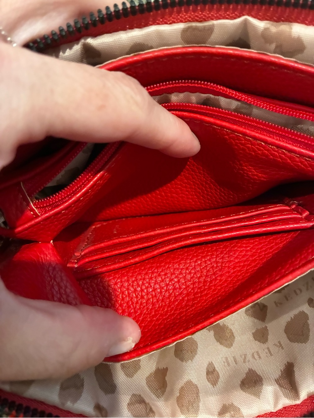 Kedzie Red Multi-Compartment Crossbody accordion Wallet bag - Picture 5 of 7